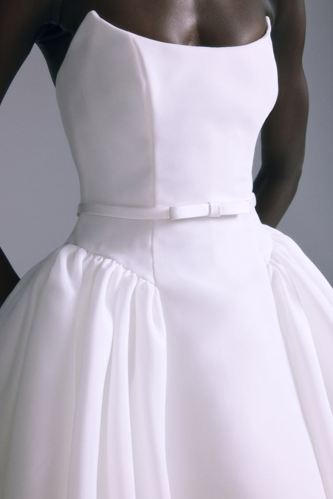 Product Camelia Image