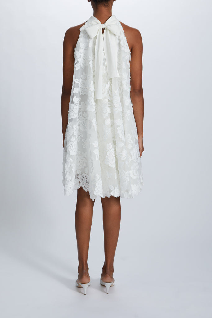 Product Guipure Lace Trapeze Dress Image