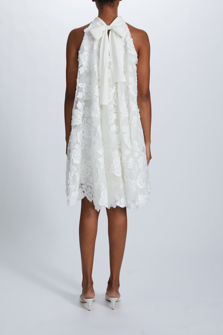 Image number 2: Guipure Lace Trapeze Dress, back view