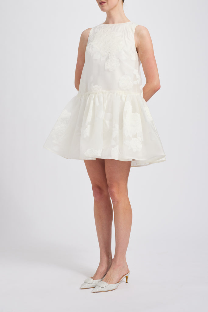 Product Rose Fil Coupé Mini Dress Image