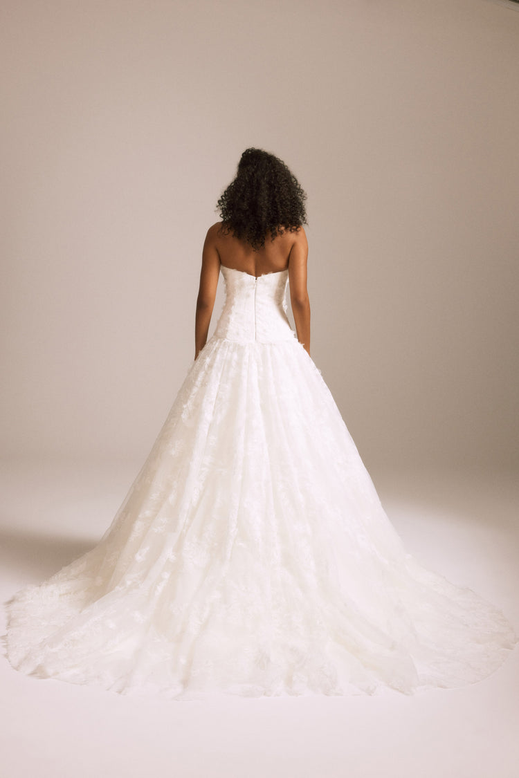 Image number 2: Marigold, back view