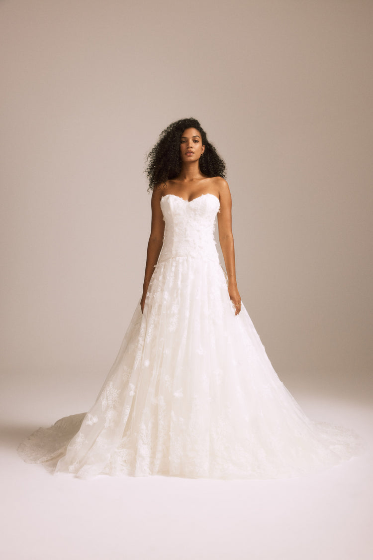 Image number 3: Marigold, front view