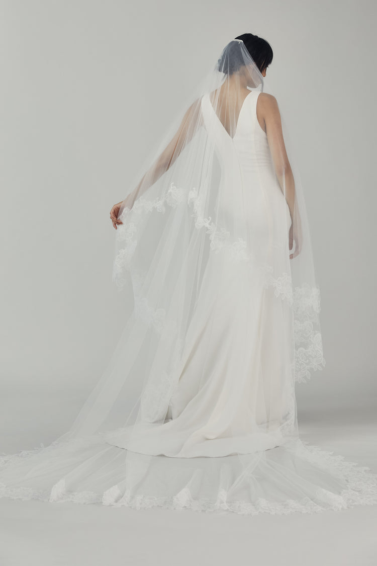 R327V - Butterfly Cathedral length veil with ivy lace edge - Ivory, dress by color from Collection Accessories by Nouvelle Amsale