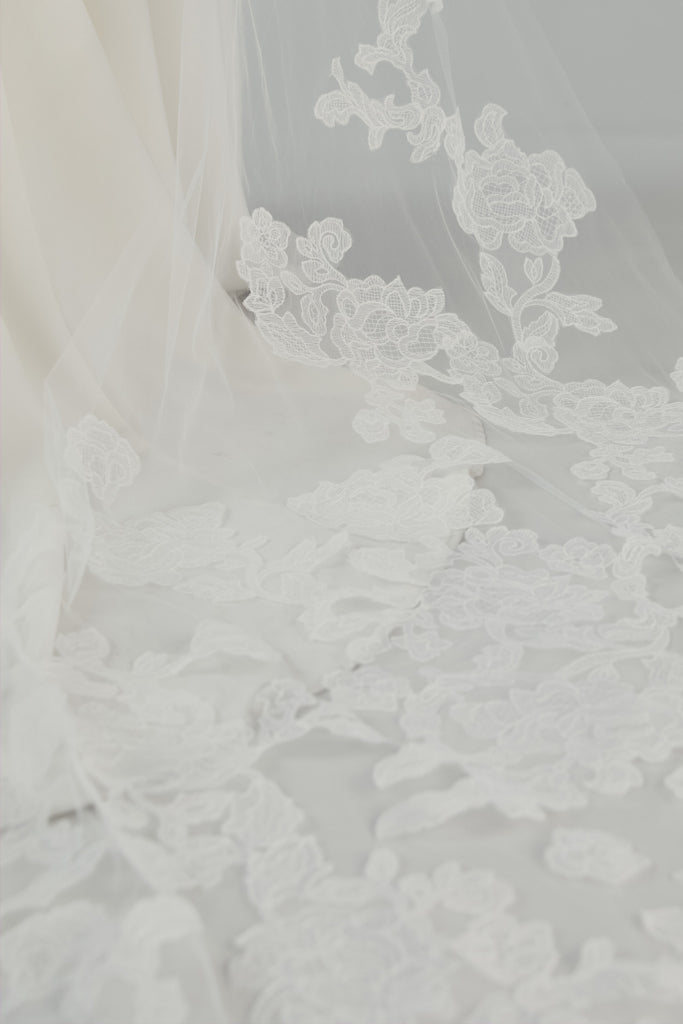Product Cathedral Length Veil with Lace Border Image
