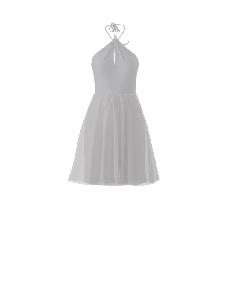 Product Bodice(Colby), Skirt(Carla), platinum Image