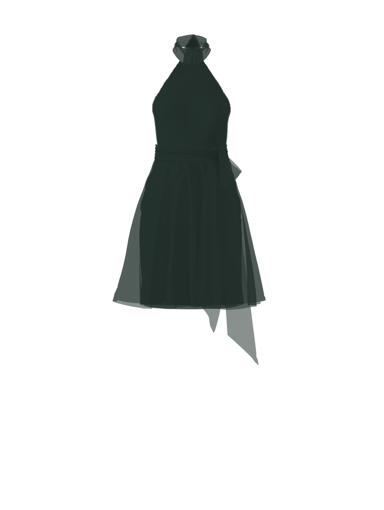 Bodice(Sophia), Skirt(Carla),Belt(Sash), hunter, combo from Collection Bridesmaids by Amsale x You
