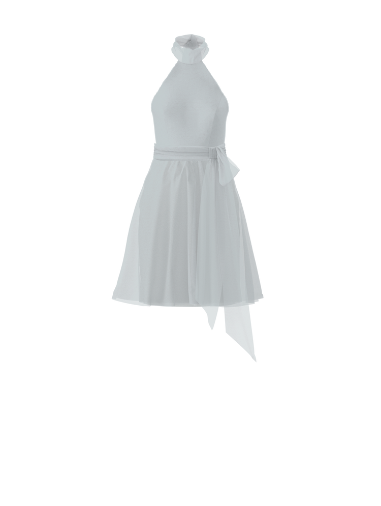 Bodice(Sophia), Skirt(Carla),Belt(Sash), ice, combo from Collection Bridesmaids by Amsale x You