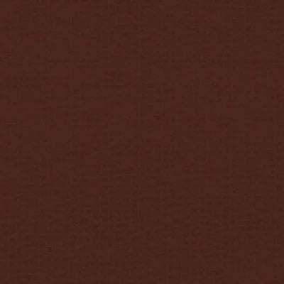 Swatch of color Raisin