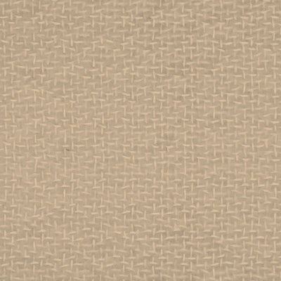 Swatch of color Fawn