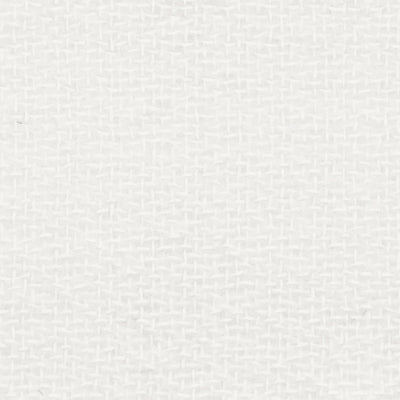 Swatch of color Ivory-Ivory